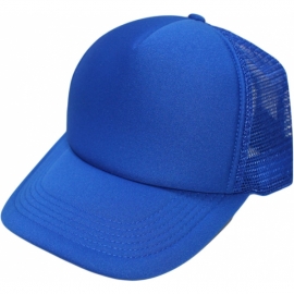全寶藍網帽